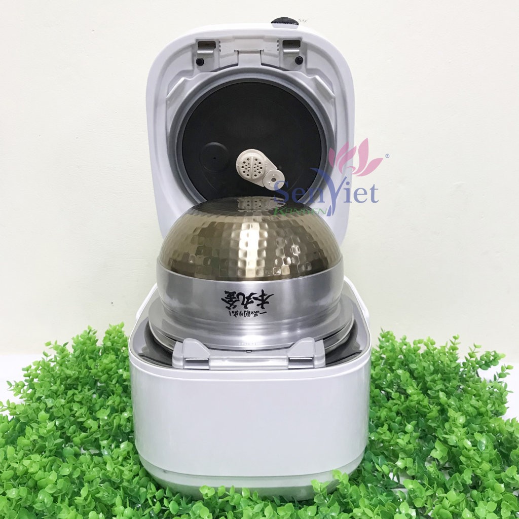 rc-dw10g